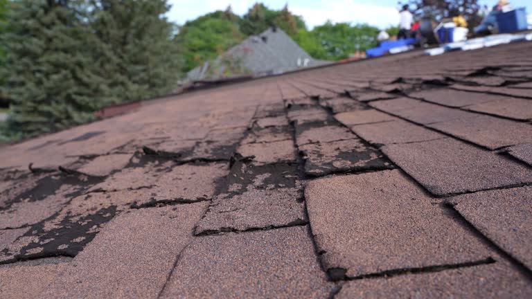 Fast & Reliable Emergency Roof Repairs in Sands Point, NY